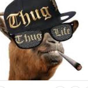 Meet your Posher, Abtin